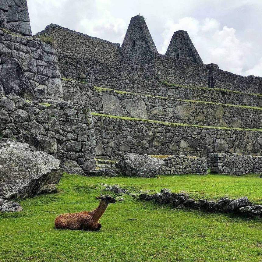 Machu Picchu