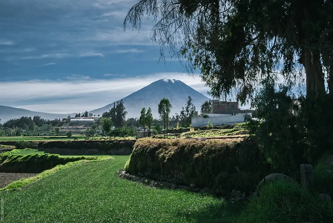 Campiña