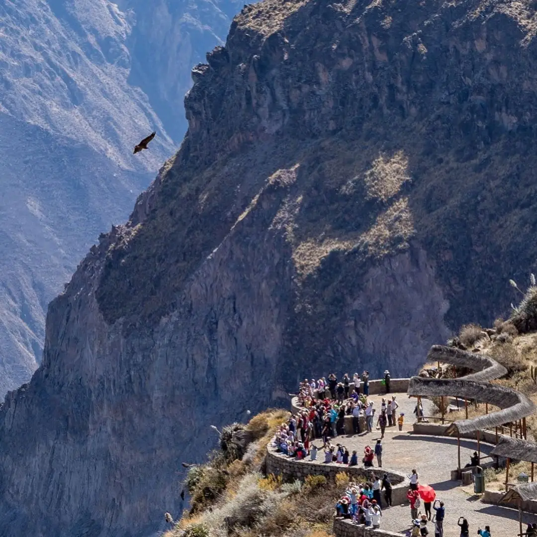 Cruz del condor