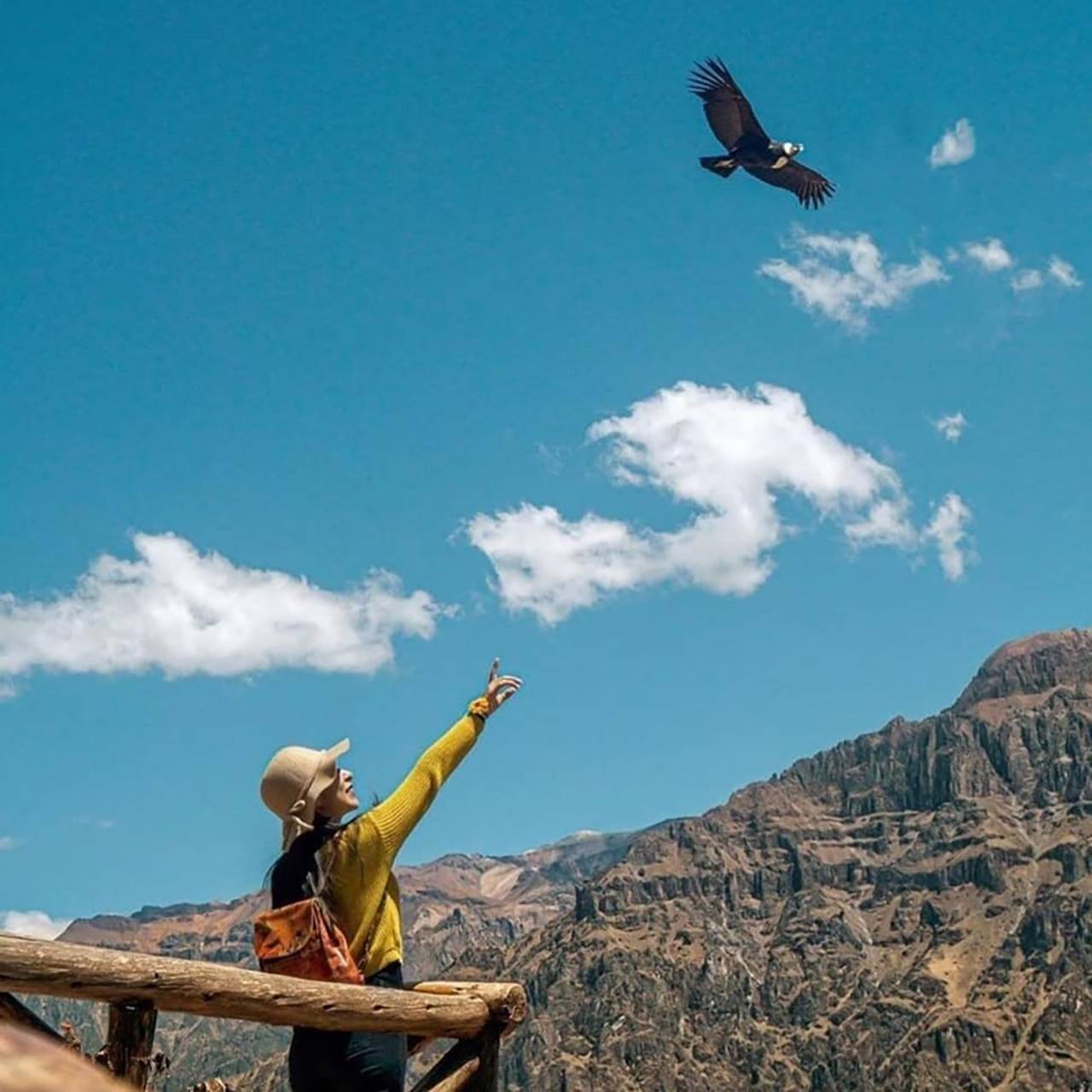 Tour Cañon del Colca full day